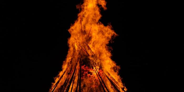 910x1365 Summer Solstice 1080P, 2K, 4K, 5K HD wallpapers free download