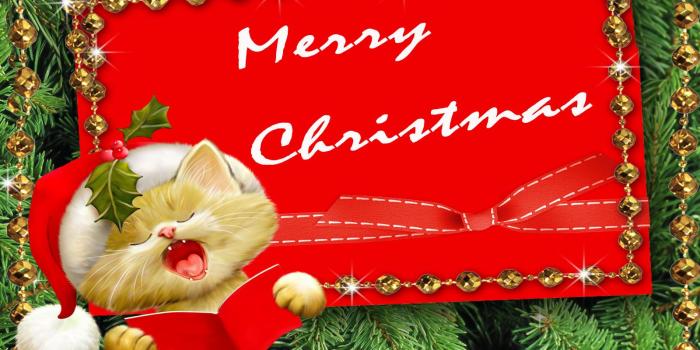 1600x1200 Cute Merry Christmas Wallpaper Cats - Best Cars Wallpapers