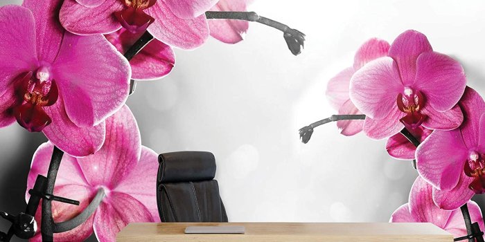 1500x1500 Soft Pink Orchid Flowers on Grey Background Wallpaper Mural