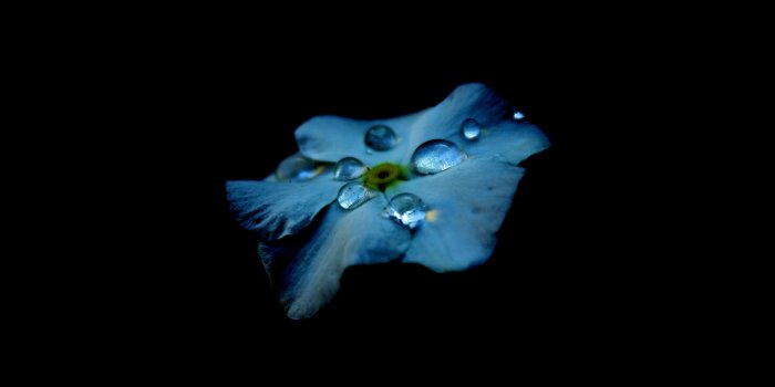 3888x2592 Amoled Wallpapers HD