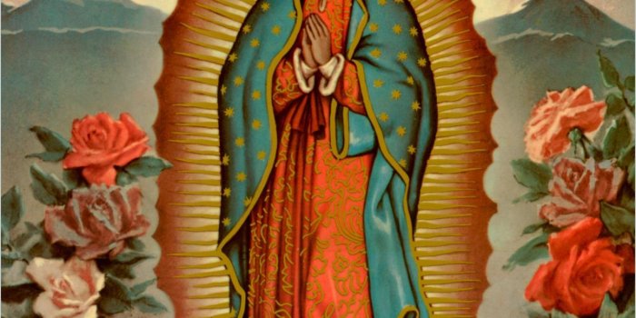 1304x1742 Our Lady Of Guadalupe Wallpapers