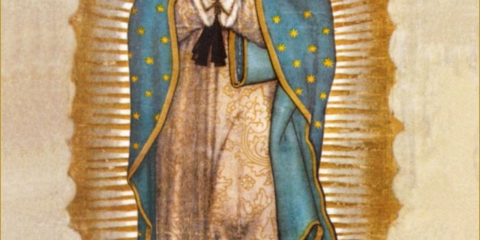 1204x1525 Our Lady Of Guadalupe Wallpapers