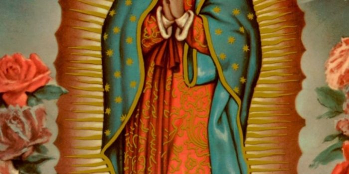 750x1334 Virgen De Guadalupe Wallpaper posted by Christopher Tremblay