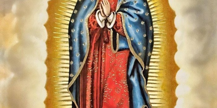 819x1024 Our Lady Of Guadalupe Wallpapers - Wallp #869821 - PNG Images - PNGio