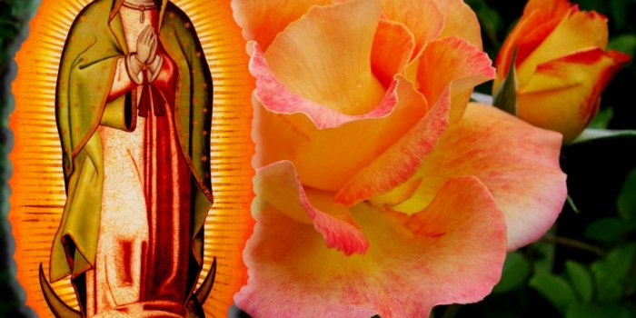1633x1296 Best 49+ Virgen De Guadalupe Backgrounds on HipWallpaper | Virgin
