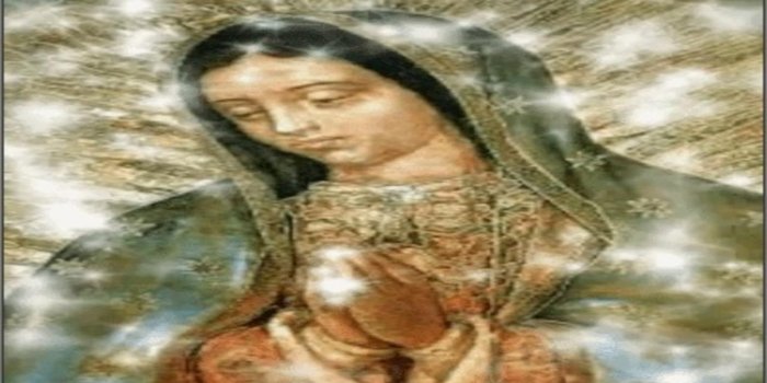 1280x720 Our Lady of Guadalupe Live Wallpaper for Android - APK Download