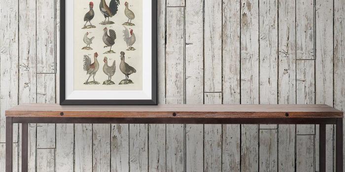 1220x1745 Pally Post Office Boutique Faux Wallpaper design by Milton & King