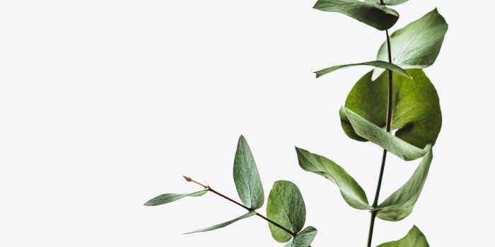 1000x1499 Minimalist Wallpapers: Free HD Download [500+ HQ] | Unsplash