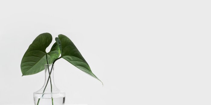 4700x3200 White Wallpapers: Free HD Download [500+ HQ] | Unsplash
