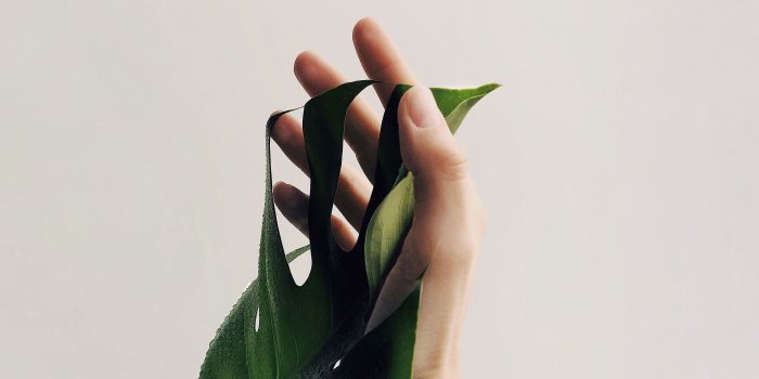 2780x2780 Download wallpaper 2780x2780 hand, leaf, minimalism, plant, drops