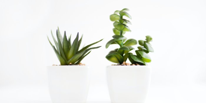 5071x3363 Free stock photo of minimalism, minimalist
