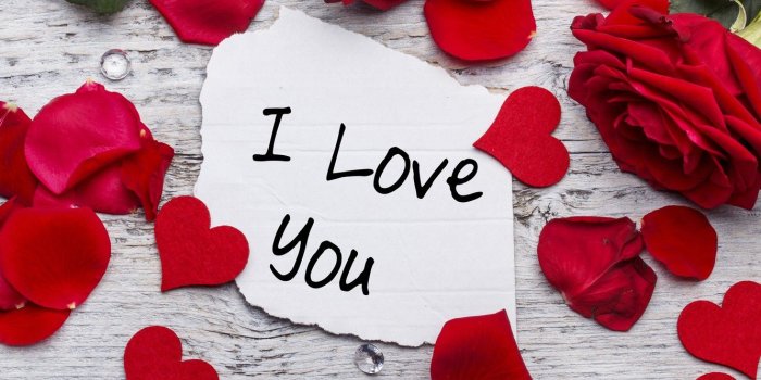 1332x850 Wallpaper Valentine's Day, hearts, I love you, love, roses