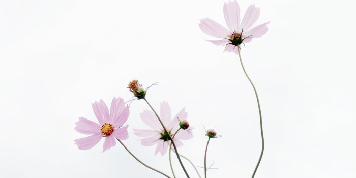 3061x2295 Minimalist Cosmos HD wallpaper