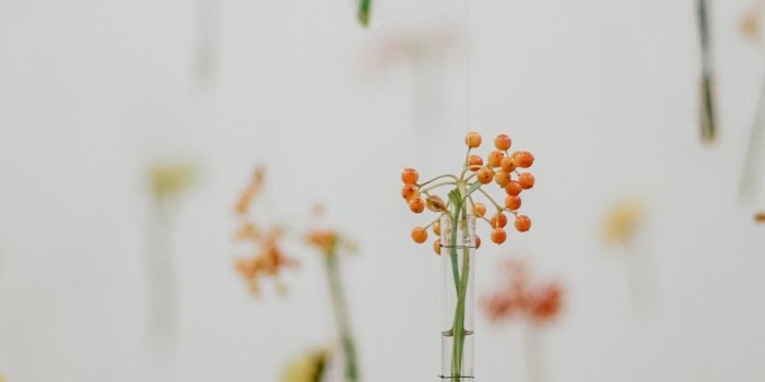 1080x1920 Minimalist Spring Wallpapers posted by Zoey Simpson