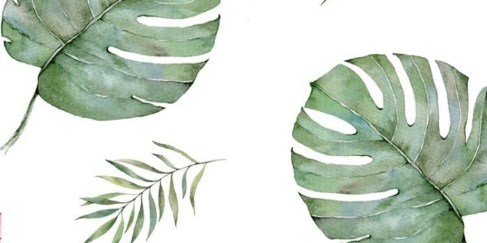 750x1330 Plantas Leaves Wallpaper Iphone, Simple Iphone Wallpaper, - Leaves