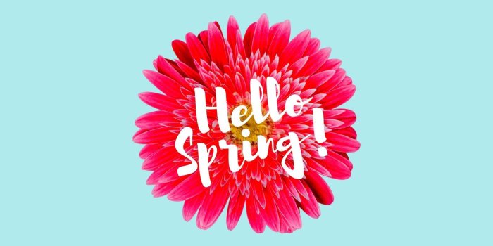 1600x900 Minimalist Pastel Floral Script Spring Wallpaper - Templates by Canva
