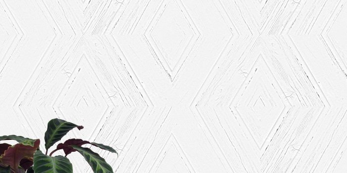 1581x2000 White Minimalist Wallpaper - Flowerpot - 1581x2000 Wallpaper