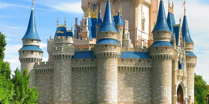910x1618 Disney castle 1080P, 2K, 4K, 5K HD wallpapers free download | Wallpaper  Flare