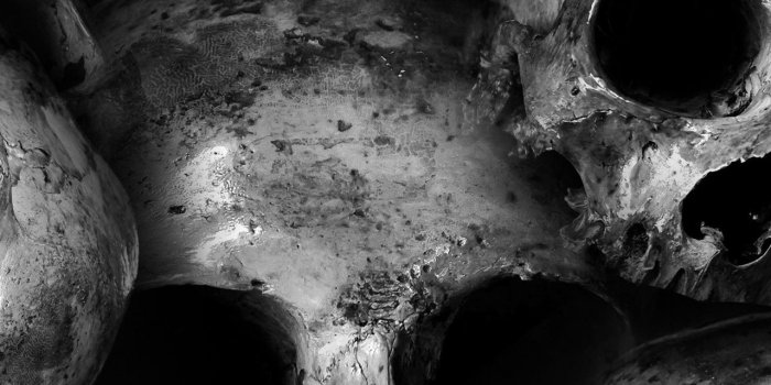 1280x2120 Download 1280x2120 wallpaper scary, skulls, dark, iphone 6 plus