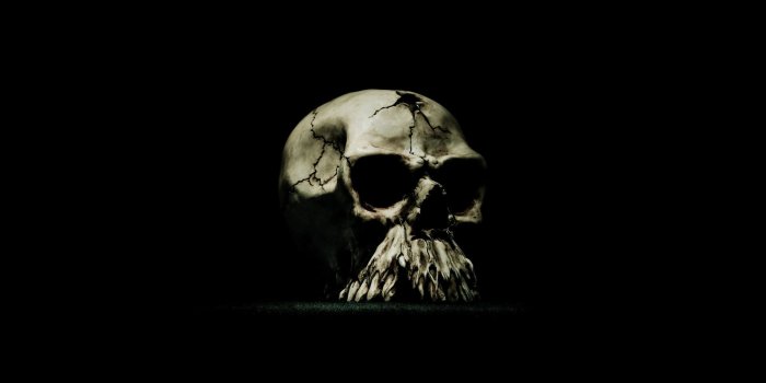 1920x1080 Scary Skulls Wallpaper (47+ images)