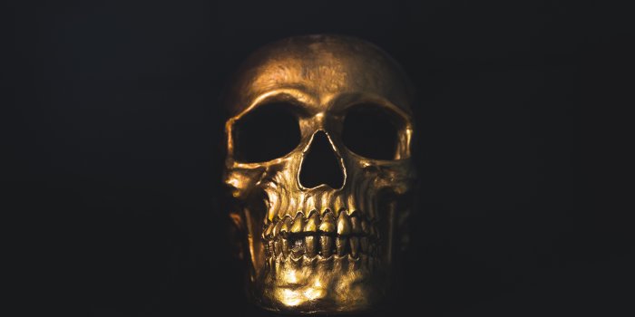 6720x4480 Skull Pictures | Download Free Images on Unsplash