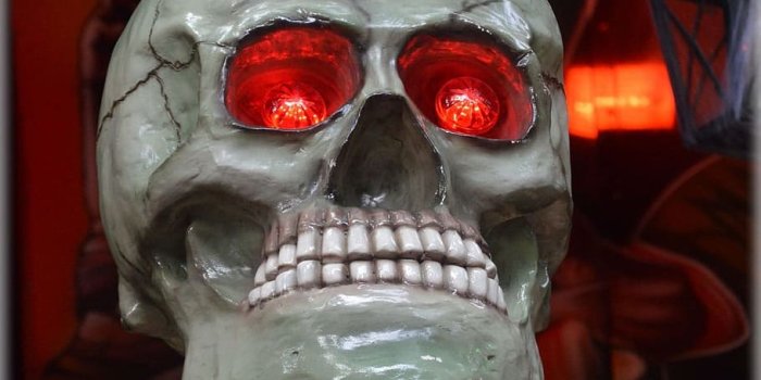 910x1369 HD wallpaper: Skull, Scary, Horror, Death, Spooky, halloween