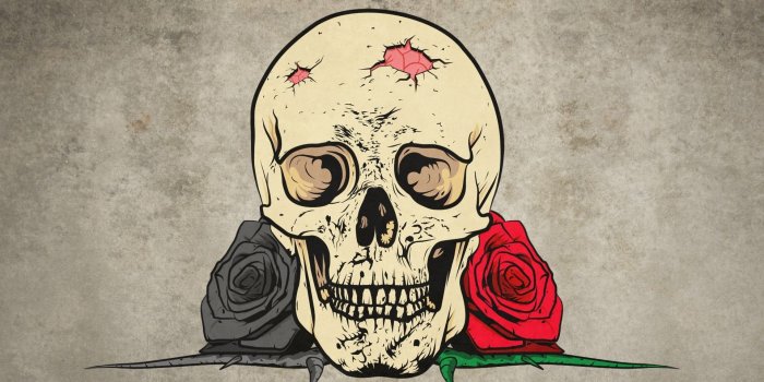 1920x1080 Skull Rose Wallpaper Hd - 1920x1080 Wallpaper - Ecopetit.cat