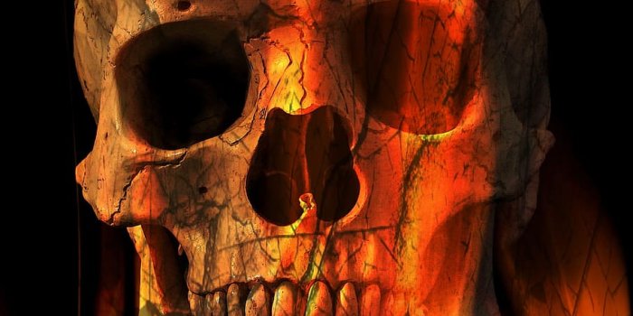 910x1365 HD wallpaper: skull wallpaper, Skull And Crossbones, Skeleton