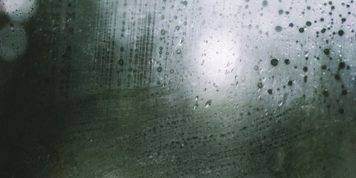 1000x1500 Dancing In The Rain Pictures | Download Free Images on Unsplash