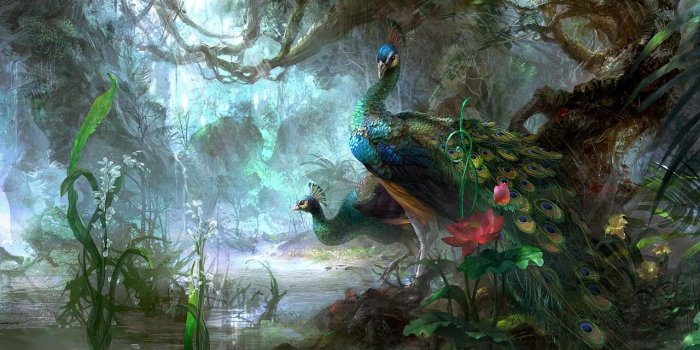 1280x800 Peacock Dancing In Rain Clipart