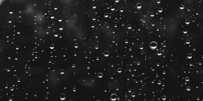 1000x1778 Dancing In The Rain Pictures | Download Free Images on Unsplash