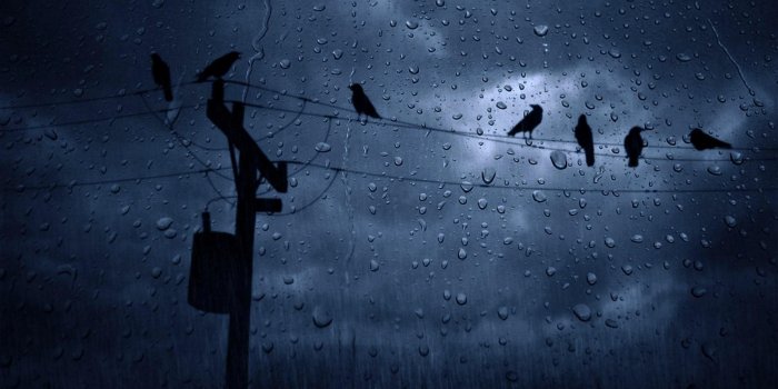 3840x2160 Rain Wallpapers - Top Free Rain Backgrounds - WallpaperAccess