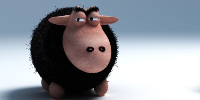 1920x1200 Black Sheep Wallpapers - Top Free Black Sheep Backgrounds