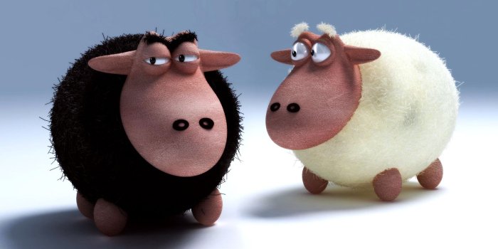 1920x1200 Black Sheep White Sheep Wallpapers HD / Desktop and Mobile Backgrounds