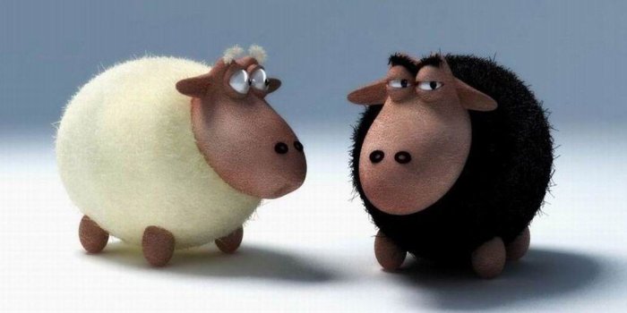 1024x1024 43+] Black Sheep Wallpapers on WallpaperSafari