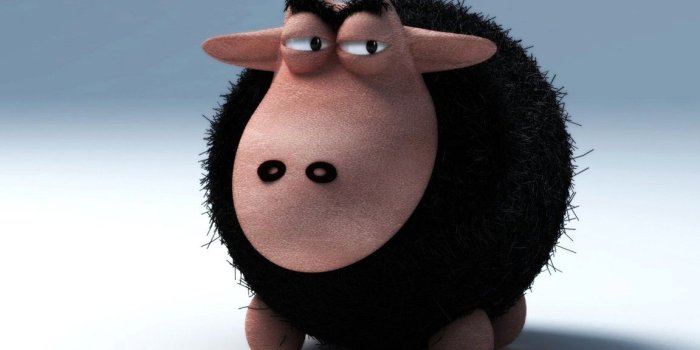 1152x864 Free download The lazy black sheep Desktop Wallpaper HD Wallpapers