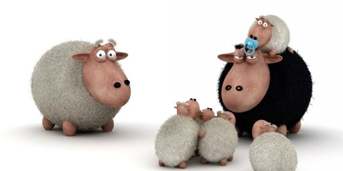 1280x1024 43+] Black Sheep Wallpapers on WallpaperSafari