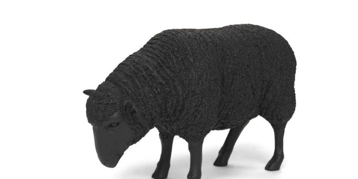3200x2400 Black Sheep - Steelcase