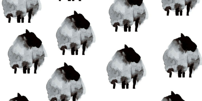 1024x768 Black Sheep Rehab - Alison Lea Sher - Medium