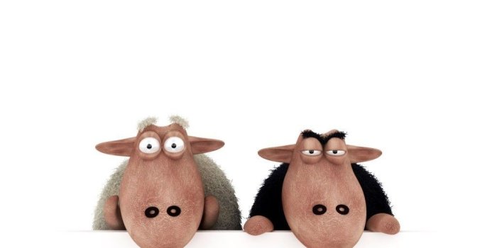 1024x768 Black Sheep Vs White Sheep HD desktop wallpaper : Widescreen