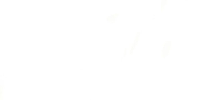 800x1422 Plain White Wallpaper For Android On Wallpaper 1080p HD