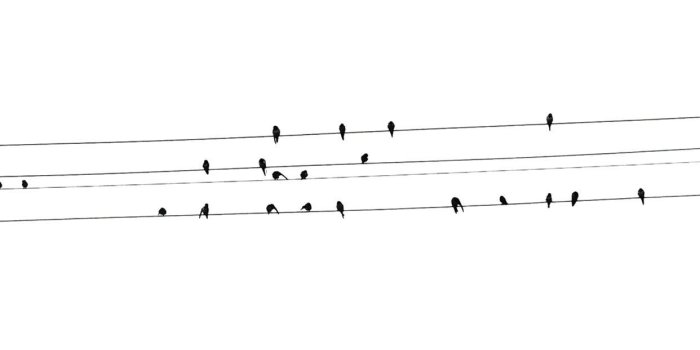 1242x2208 White Wallpaper Android posted by Michelle Sellers