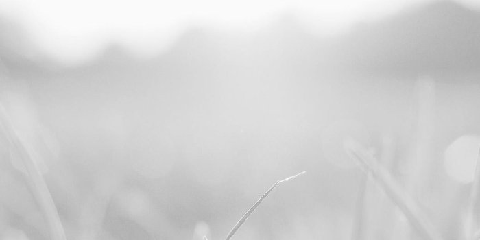 1242x2208 Android White Light Wallpapers