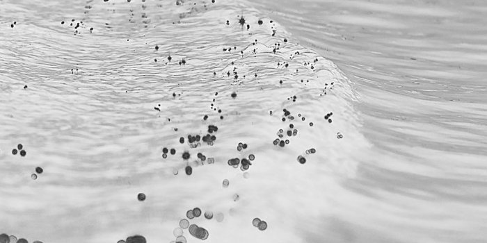 1242x2208 Gold Sea White Black Sunset Ocean Nature Android Wallpaper - White