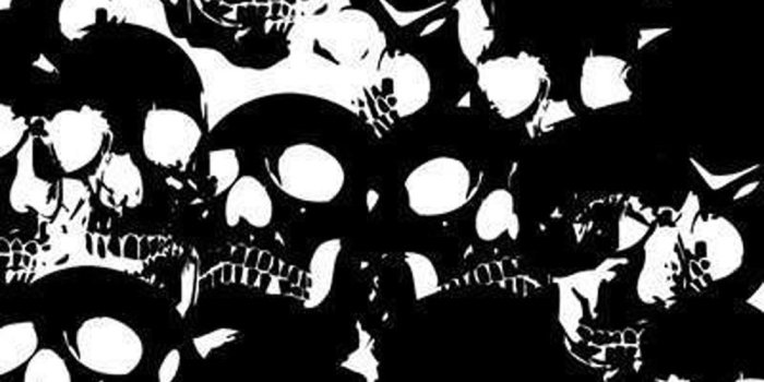 1000x1000 skull, pattern, wallpaper, black, | Skull wallpaper, Doodle