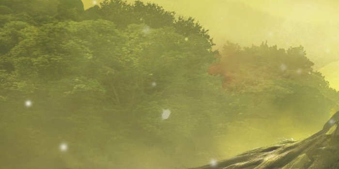 1242x2688 1242x2688 Zelda Ocarina Of Time Artwork Iphone XS MAX HD 4k