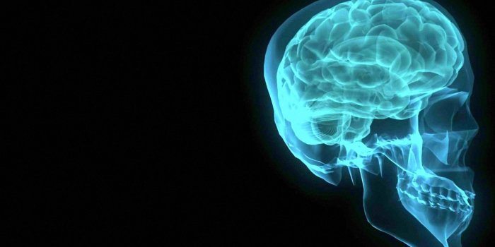 2560x1600 Download 2560x1600 Abstract brain xray artwork wallpaper