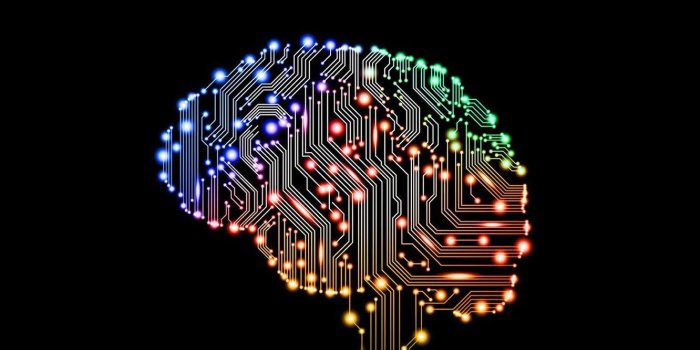 1332x850 Brain Wallpapers - Top Free Brain Backgrounds - WallpaperAccess