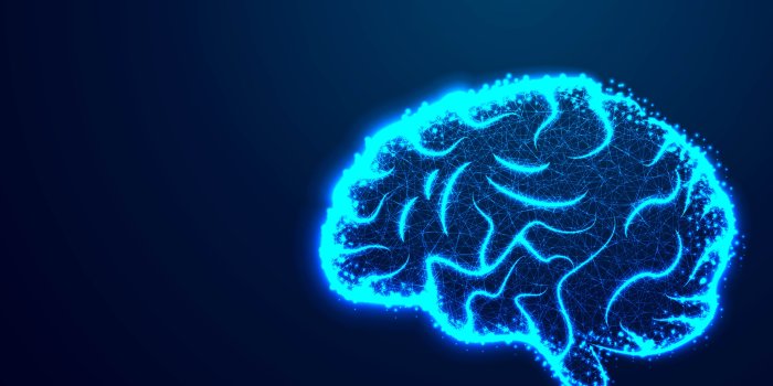 5000x3334 Abstract Vector Image of a Human Brain (Graphic) by ojosujono96