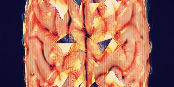 728x1294 HD wallpaper: orange and blue floral textile, abstract, brain